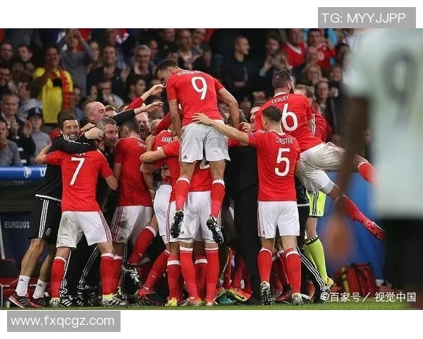 比利时与墨西哥精彩对决直播全程回顾与赛后分析