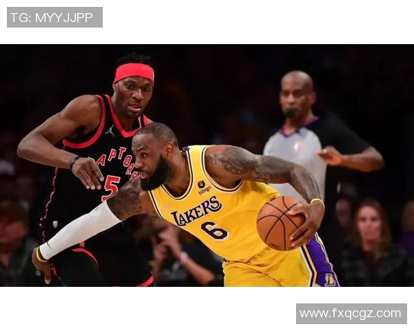 2013至2014赛季火箭队与猛龙队精彩对决回顾与分析