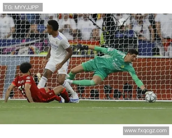 巴西与比利时足球历史对抗回顾与精彩瞬间分析